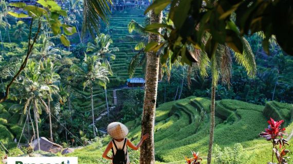 Strategi Team Building Efektif dengan Biaya Terbatas: Tingkatkan Kekompakan Tim Anda!