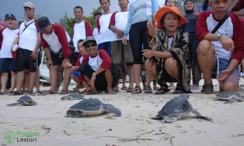 Untitled design (27)