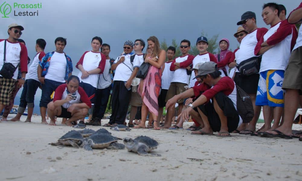 Untitled design (28)