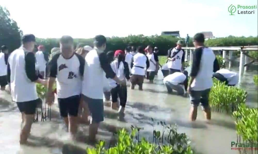 Untitled design (33)